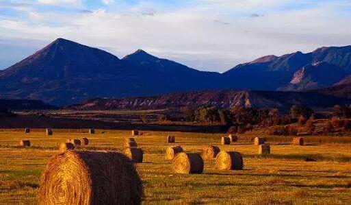 生物質(zhì)發(fā)電作為新世紀的可替代能源之一，發(fā)展?jié)摿驮鏊賹⒂瓉砀叻???