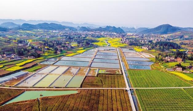 河北省政府出臺(tái)《關(guān)于做大做強(qiáng)農(nóng)業(yè)產(chǎn)業(yè)化龍頭企業(yè)的意見(jiàn)》，提出河北省農(nóng)業(yè)產(chǎn)業(yè)化發(fā)展目標(biāo)