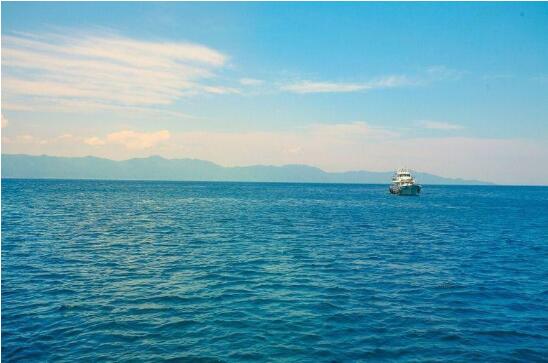 上半年全國(guó)海洋生產(chǎn)總值3.8萬(wàn)億元，前5個(gè)月新修復(fù)濱海濕地484公頃??