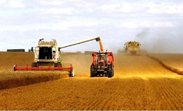 秋糧連續(xù)第六年糧食產(chǎn)量穩(wěn)定在6億噸，有信心應(yīng)對(duì)國(guó)內(nèi)外各種經(jīng)濟(jì)風(fēng)險(xiǎn)?