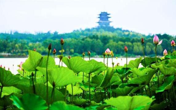 中國文旅產(chǎn)業(yè)的市場(chǎng)潛力龐大，未來市場(chǎng)空間有望達(dá)到2萬億元