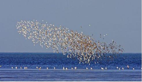 三部委：到2020年，渤海近岸海域水質(zhì)優(yōu)良比例達到73%左右?