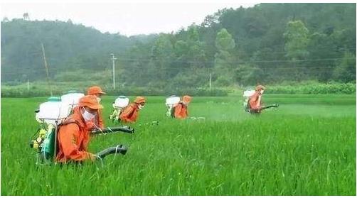 農(nóng)藥行業(yè)仍然具有較大的發(fā)展空間，高效、低毒、低殘留將是其發(fā)展方向