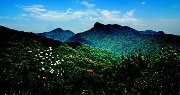 花都區(qū)出臺“白金十條”促進(jìn)旅游產(chǎn)業(yè)發(fā)展，最大一項政策獎勵達(dá)2000萬元???