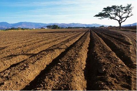 就關(guān)于修改農(nóng)村土地承包法相關(guān)部門負(fù)責(zé)人答記者問(wèn)