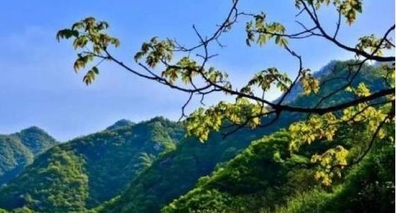 陜西省政府：印發(fā)《秦嶺生態(tài)環(huán)境保護(hù)行動(dòng)方案》，持之以恒有效保護(hù)秦嶺這一國(guó)家重要生態(tài)安全屏障