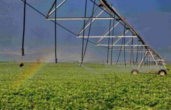 中共中央辦公廳、國(guó)務(wù)院辦公廳印發(fā)《關(guān)于促進(jìn)小農(nóng)戶和現(xiàn)代農(nóng)業(yè)發(fā)展有機(jī)銜接的意見》