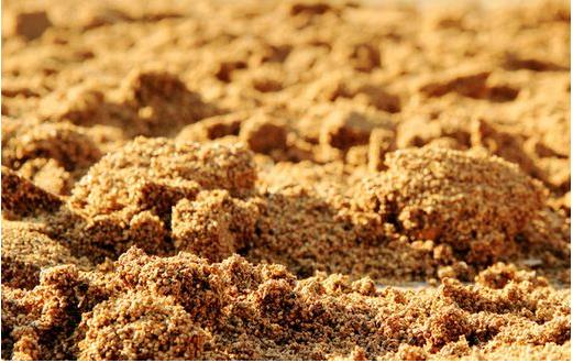 飼料行業(yè)面臨著一個大發(fā)展、大競爭、大淘汰的格局