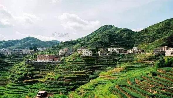 福建省農業(yè)農村廳建設銀行福建省分行聯合發(fā)布關于發(fā)展普惠金融助力鄉(xiāng)村振興戰(zhàn)略的意見