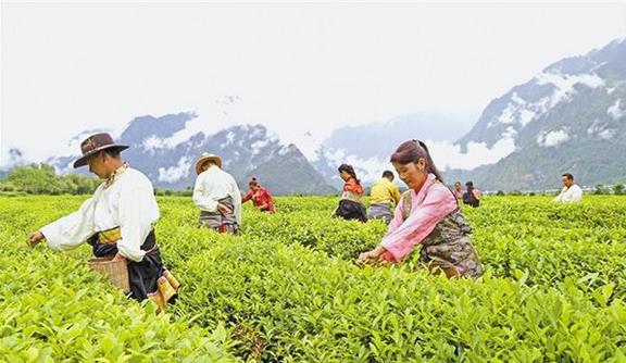 截至2018年底，西藏貧困人口已降至15萬人，貧困發(fā)生率下降到6%以下