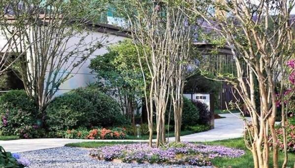 補齊健康社區(qū)建設(shè)短板 非醫(yī)療健康服務(wù)模式供給落地