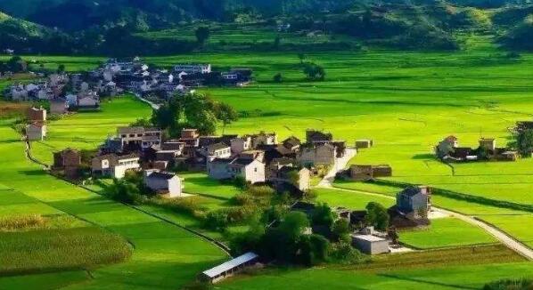 去年全國鄉(xiāng)村旅游總?cè)舜螢?0.9億人次，同比增加9.7%