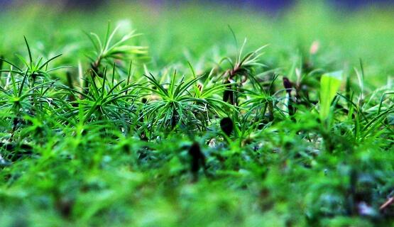 東莞大嶺山-定制家具生產(chǎn)項(xiàng)目可行性研究報(bào)告