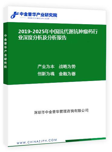 2019-2025年中國(guó)抗代謝抗腫瘤藥行業(yè)深度分析及分析報(bào)告