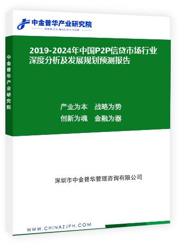 2019-2024年中國P2P信貸市場行業(yè)深度分析及發(fā)展規(guī)劃預(yù)測報告