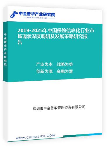 2019-2025年中國保險信息化行業(yè)市場現狀深度調研及發(fā)展策略研究報告