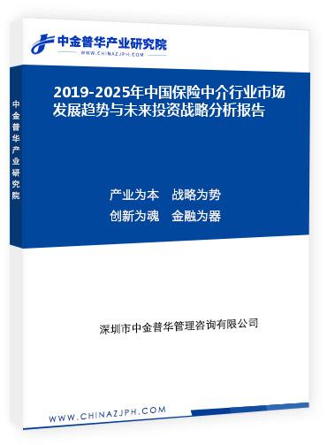 2019-2025年中國保險(xiǎn)中介行業(yè)市場發(fā)展趨勢(shì)與未來投資戰(zhàn)略分析報(bào)告