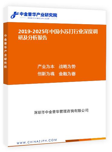 2019-2025年中國小蘇打行業(yè)深度調研及分析報告