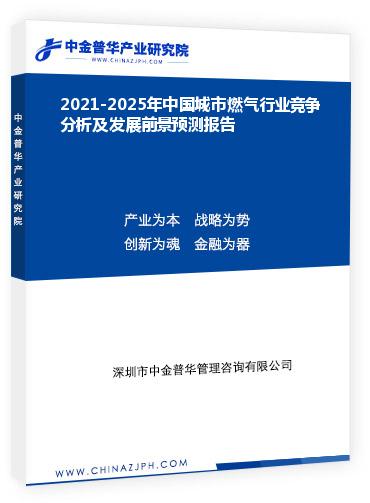 2021-2025年中國(guó)城市燃?xì)庑袠I(yè)競(jìng)爭(zhēng)分析及發(fā)展前景預(yù)測(cè)報(bào)告